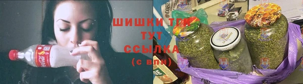 мдпв Корсаков