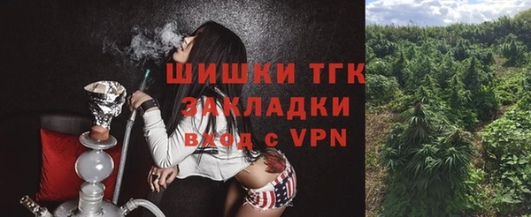 тгк Осташков